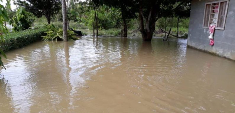 Cuatro municipios de Urabá en alerta roja por posibles inundaciones