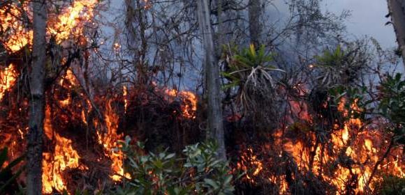 Incendio forestal  En Santa Fe De Antioquia Acaba Con  160 Hectáreas