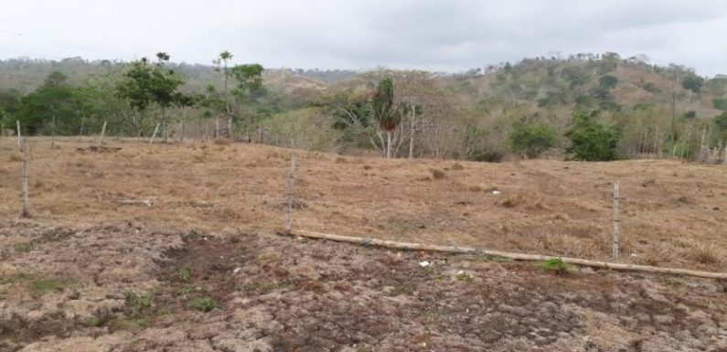 En el Urabá antioqueño hay 35 mil personas sin agua por la sequía